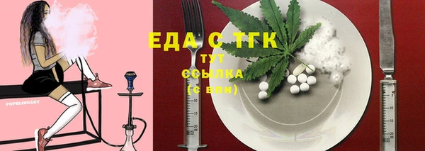 гидра Вязьма