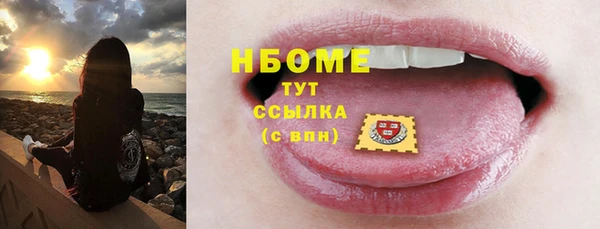 гидра Вязьма