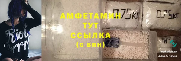 гидра Вязьма