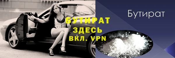 гидра Вязьма