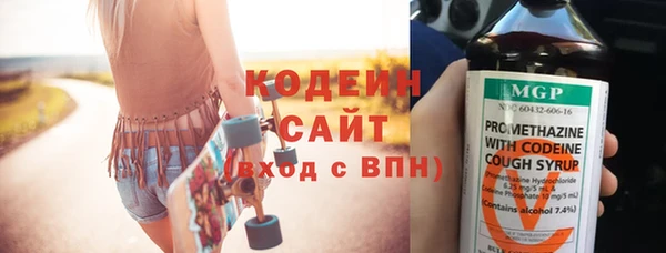 гидра Вязьма
