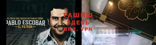 гидра Вяземский