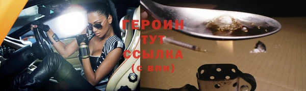 гидра Вязьма