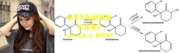 гидра Вязьма