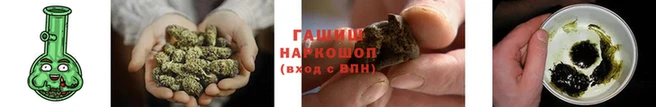 гидра Вяземский