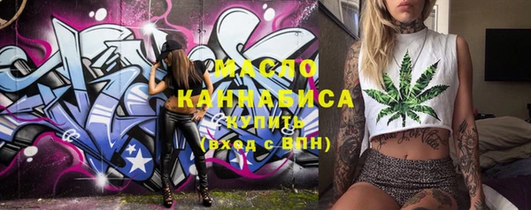 гидра Вязьма