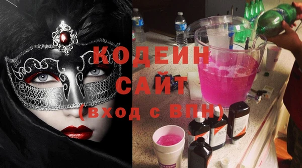 гидра Вяземский
