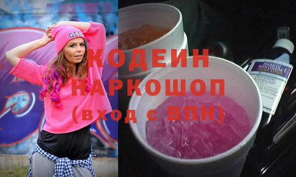 гидра Вяземский