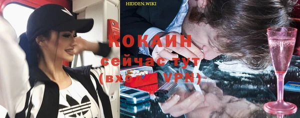 гидра Вязьма