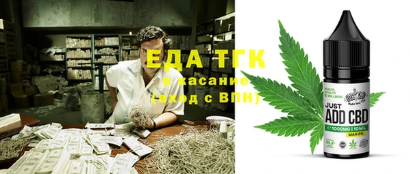 гидра Вязьма