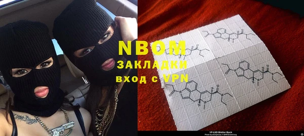 гидра Вяземский