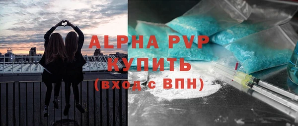 гидра Вяземский