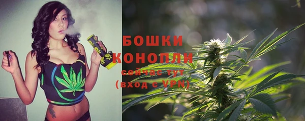 гидра Вязьма