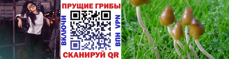 Псилоцибиновые грибы мухоморы Серпухов